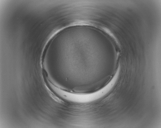 X0000066511372200603171140