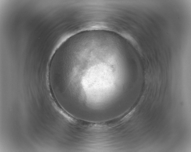 X0000066511374200603171140