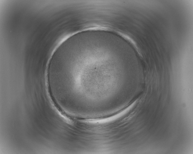 X0000066511375200603171140