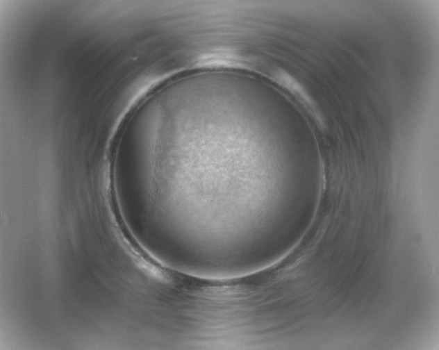 X0000066511376200603171140