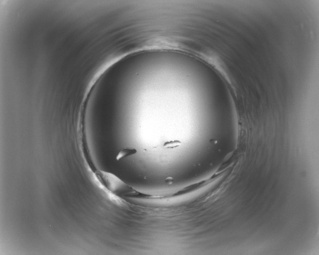 X0000066511387200603171140
