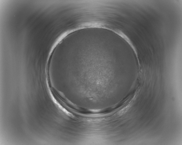 X0000066511389200603171140