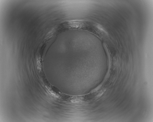 X0000066511394200603171139