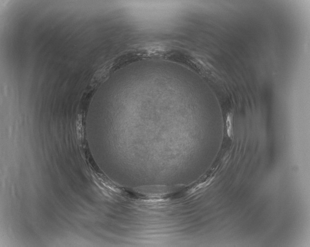 X0000066511395200603171139