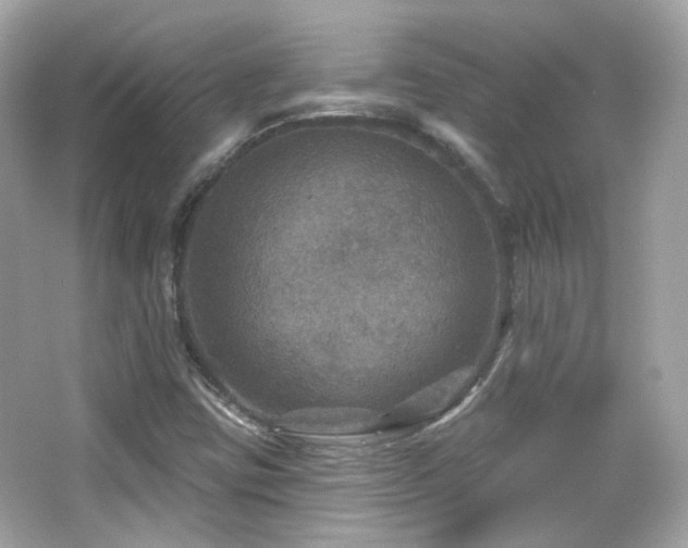 X0000066511403200603171139