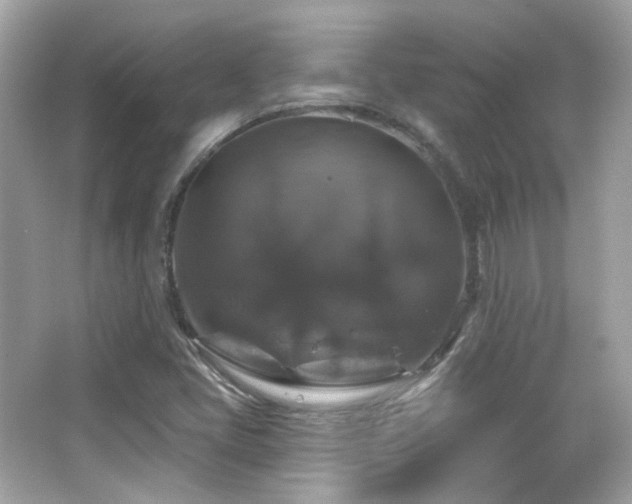 X0000066511405200603171139