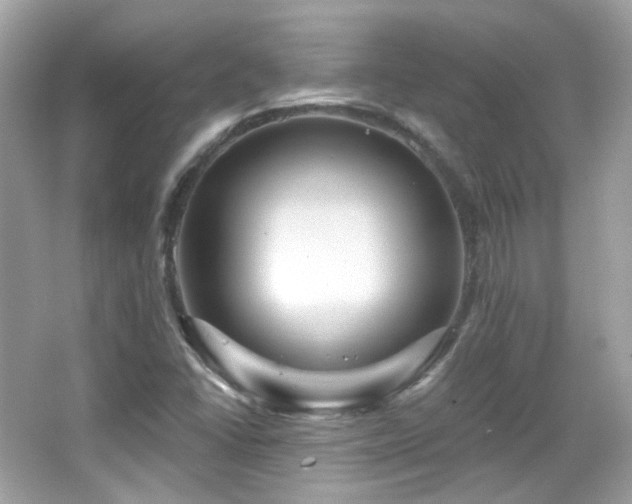 X0000066511406200603171139
