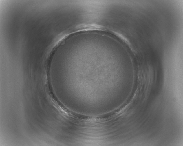 X0000066511407200603171139