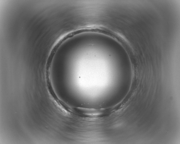 X0000066511412200603171139
