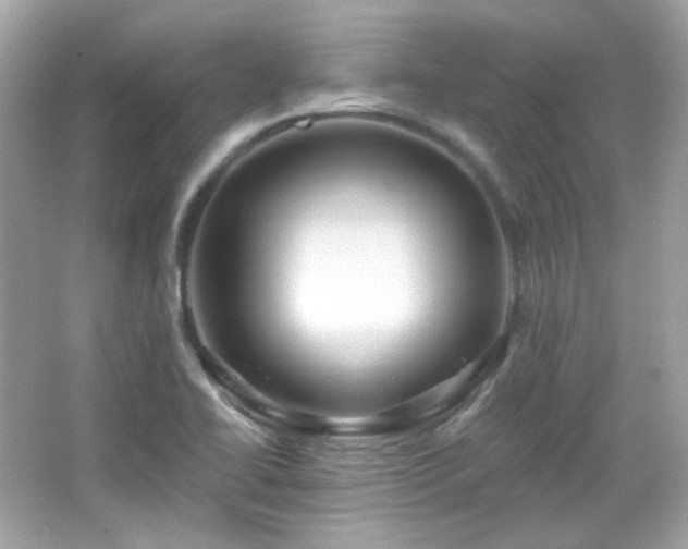 X0000066511414200603171140