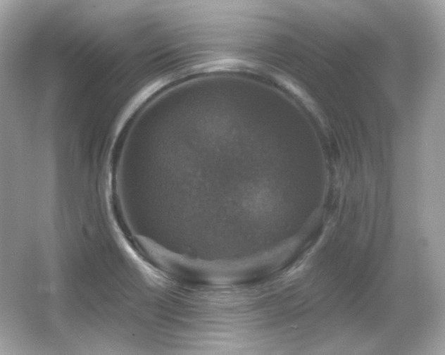 X0000066511418200603171140