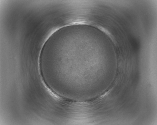 X0000066511423200603171140