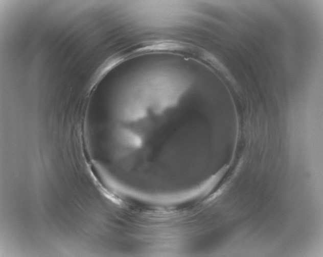 X0000066511425200603171140
