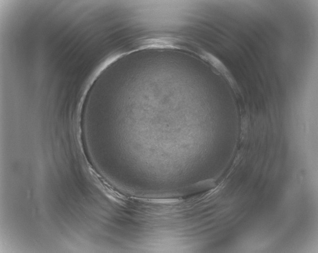 X0000066511435200603171140