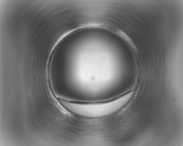 X0000066511436200603171140