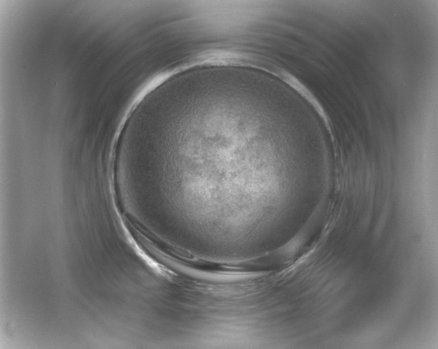 X0000066511437200603171140