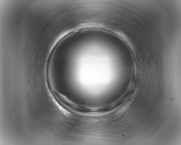 X0000066511438200603171140