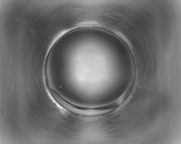 X0000066511440200603171140