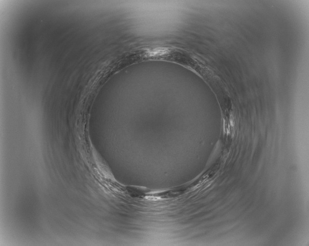 X0000066511441200603171139