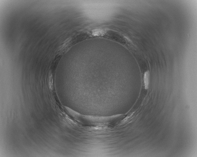 X0000066511443200603171139