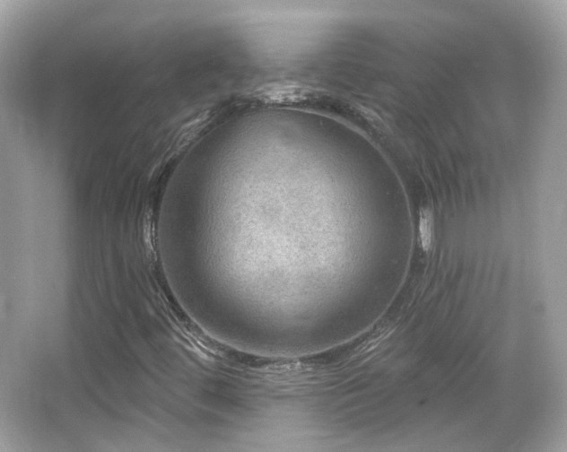 X0000066511444200603171139