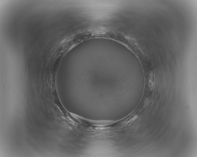 X0000066511445200603171139