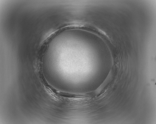 X0000066511448200603171139