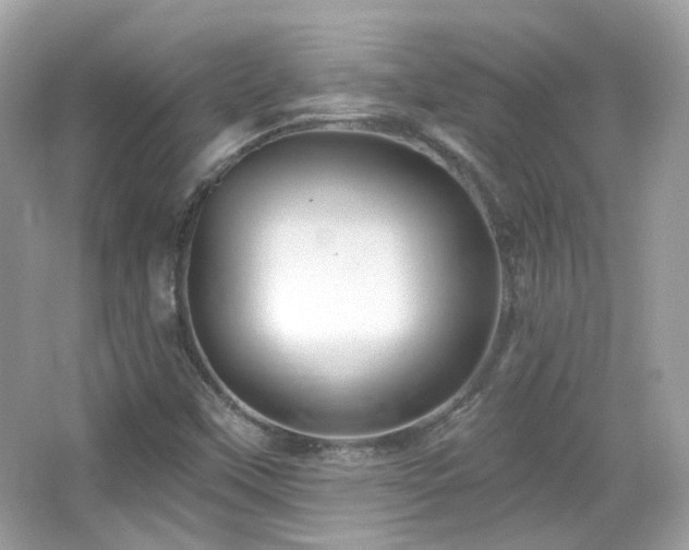 X0000066511451200603171139