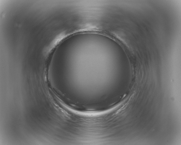 X0000066511455200603171139
