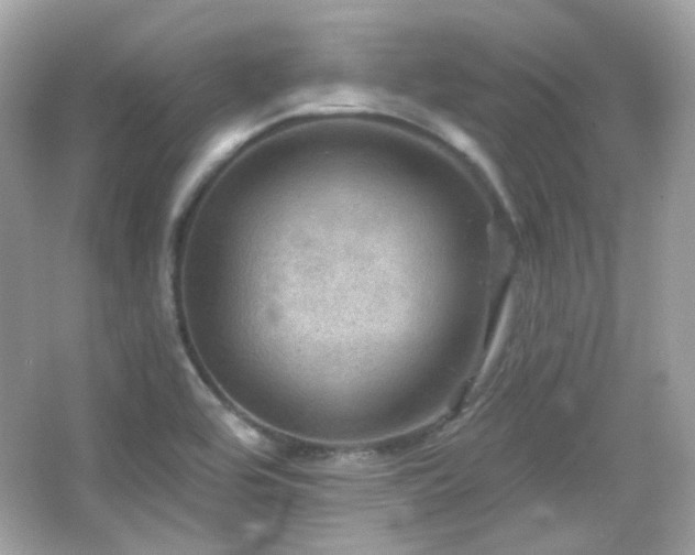 X0000066511464200603171139