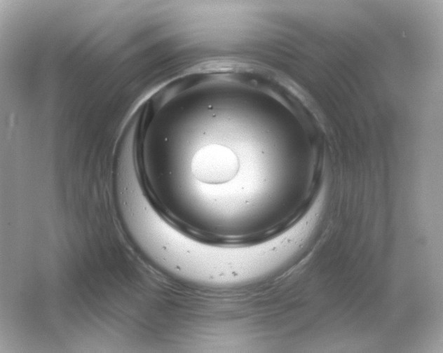 X0000066511465200603171139
