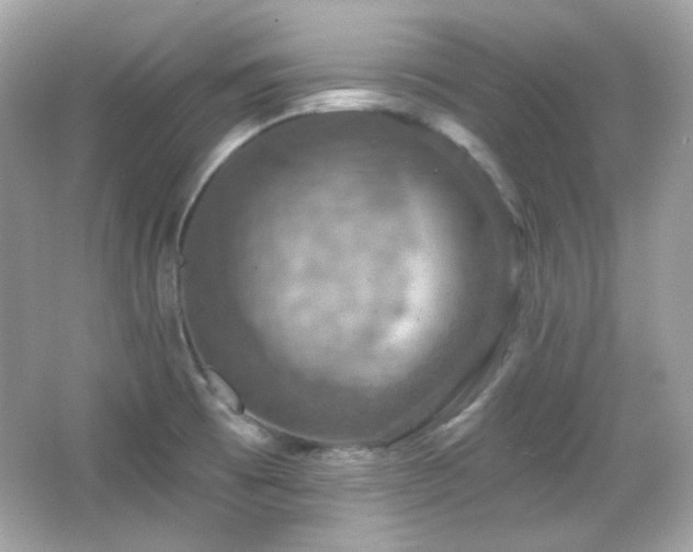 X0000066511473200603171139