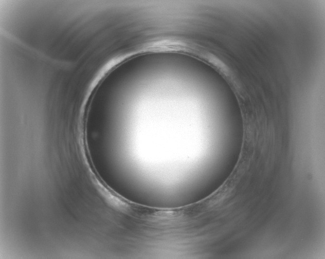 X0000066511478200603171139