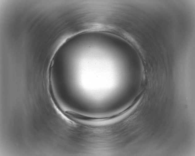 X0000066511479200603171138