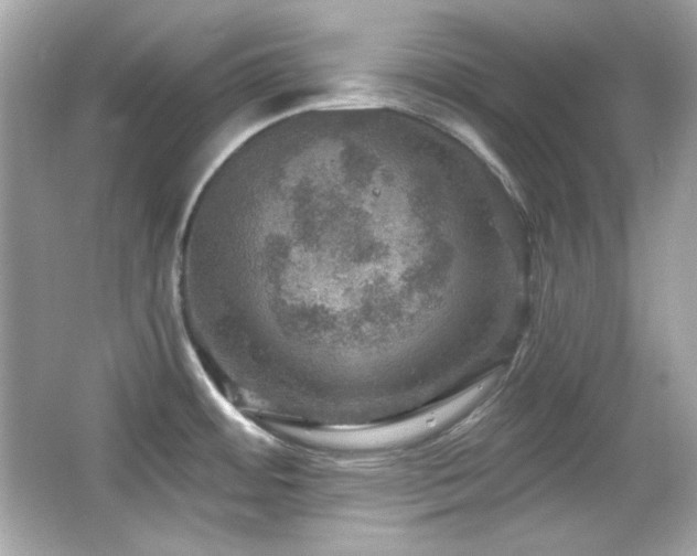 X0000066511484200603171138