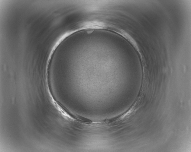 X0000066511488200603171138