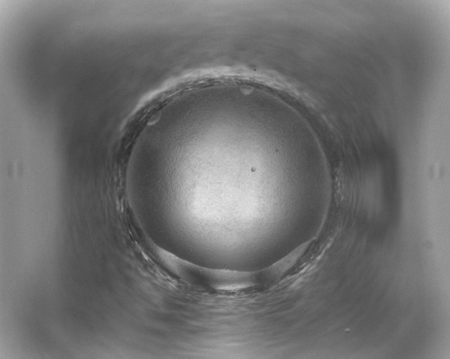 X0000066511494200603171138