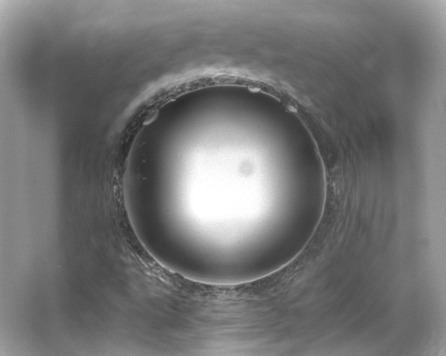 X0000066511495200603171138