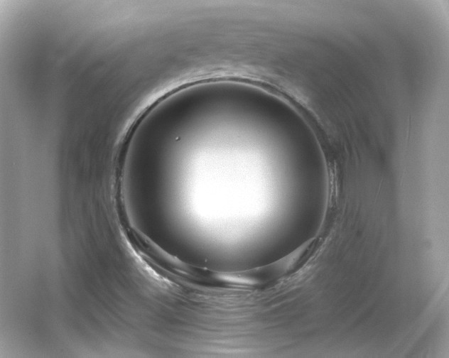 X0000066511500200603171138