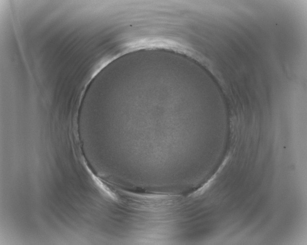 X0000066511521200603171138
