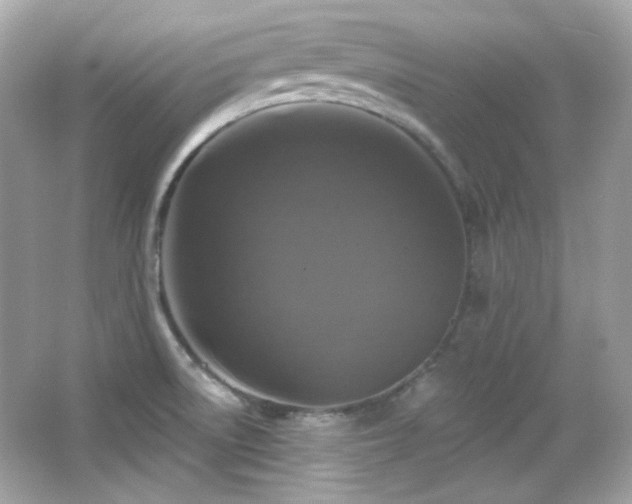 X0000066511522200603171138