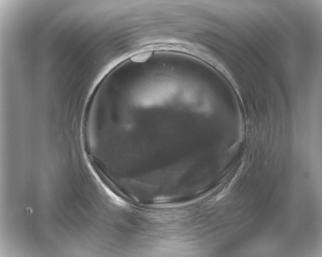 X0000066511533200603171138