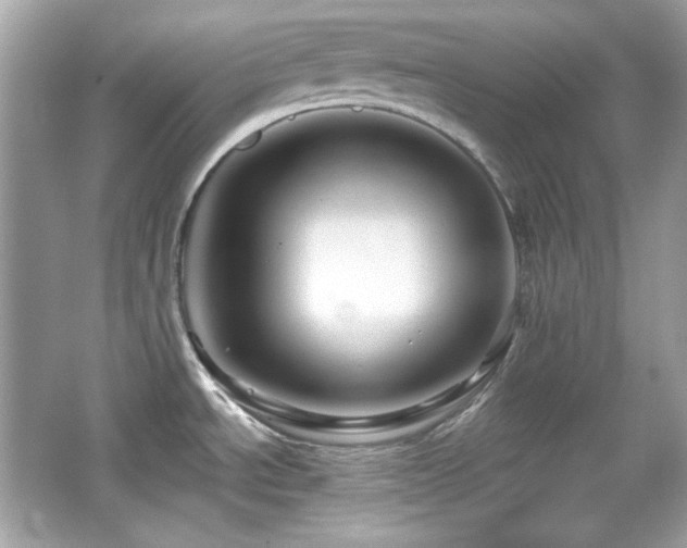 X0000066511534200603171138