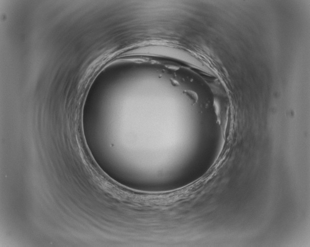 X0000066510001200603201310