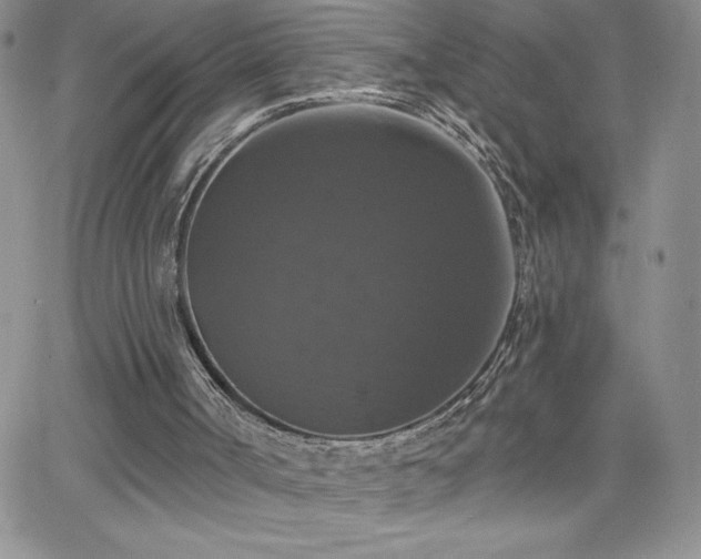 X0000066510002200603201310