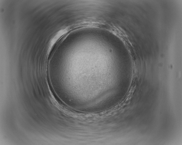 X0000066510003200603201310