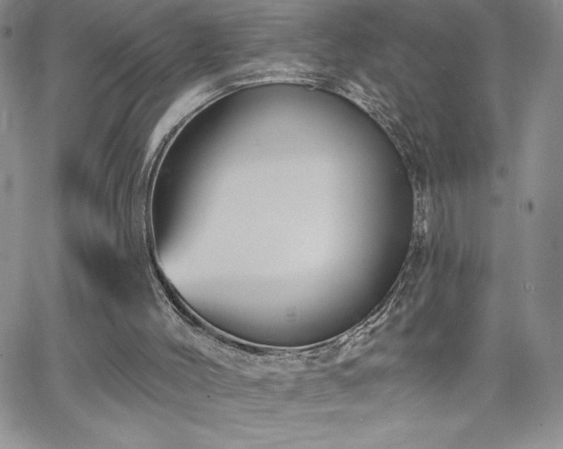 X0000066510004200603201310