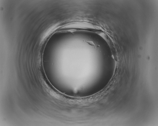 X0000066510005200603201310