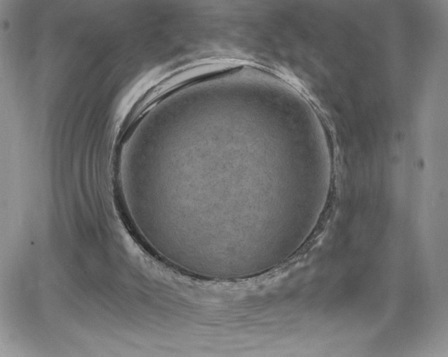 X0000066510007200603201310