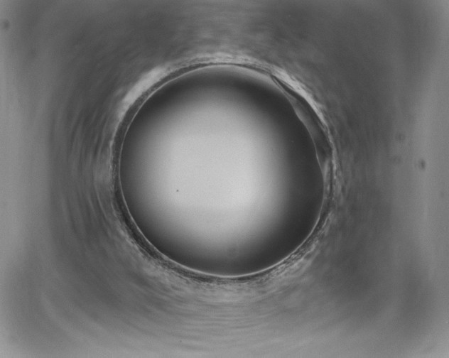 X0000066510008200603201310